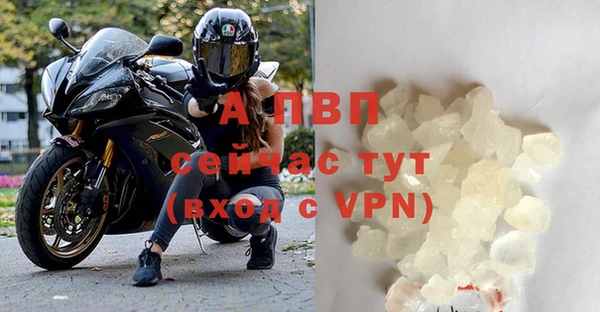 сатива Баксан
