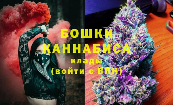 сатива Баксан