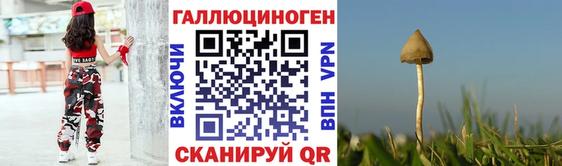 Псилоцибиновые грибы GOLDEN TEACHER  Великие Луки 
